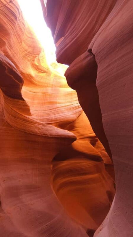 1-Day Grand Canyon Antelope Horseshoe :Stargazing Daily tour - Authentic Experiences and Real Traveler Feedback