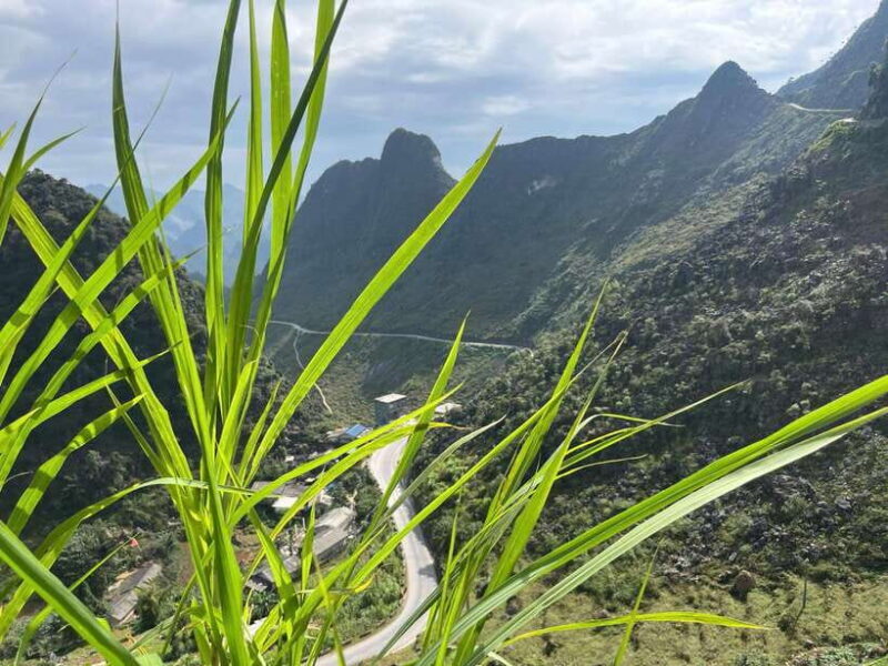 1 Day Ha Giang Loop Tour by Motorbike with Easy Rider - A Deep Dive into the Ha Giang Loop Experience