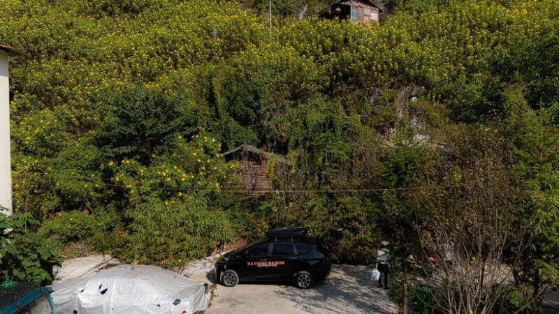 1 Day Ha Giang Loop Tour by Private Car with Ha Giang Looper - Why This Tour Works