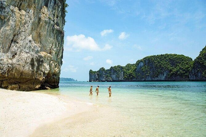 1 Day Halong Bay-Kayaking, Swimming, Cave, Bus, Lunch, Ticket - Who Should Consider This Tour?