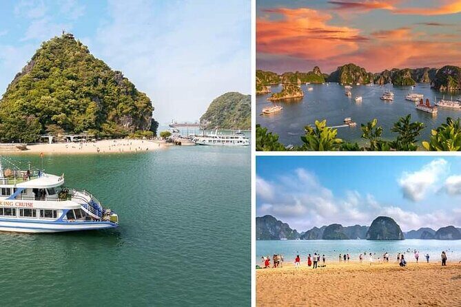 1-Day Halong Bay Tour From Hanoi Express with Dragon King Cruise - Who Should Consider This Tour?