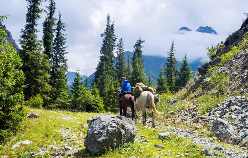 1 Day Horse Riding Adventure in Borjomi Mountains - Key Points