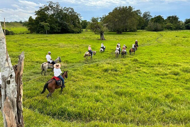 1 Day Horseback Riding at a Real Ranch from Medellin - Key Points