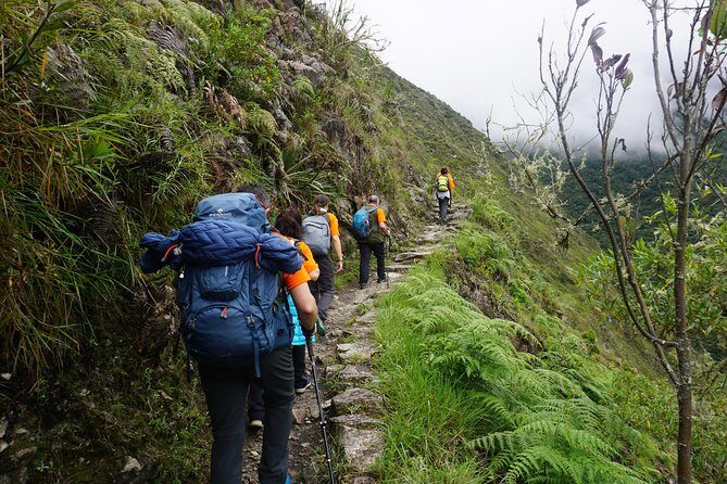 1 Day Inca Trail Tour to Machu Picchu Hike - A Deep Dive into the Experience