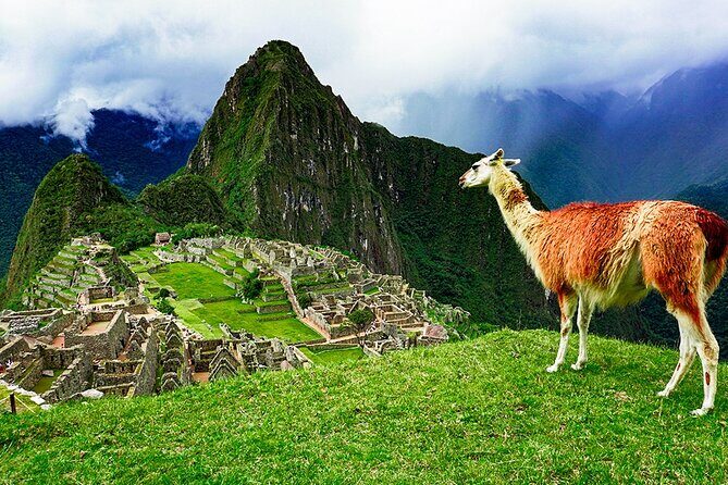 1 Day Inca Trail Tour to Machu Picchu Hike - Who Should Consider This Tour?