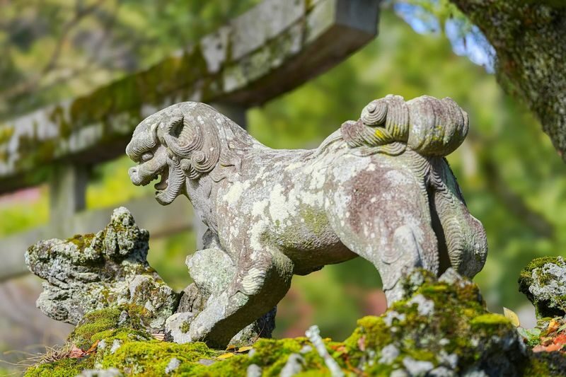 1-Day Iwakuni Tour: Kintaikyo Bridge, Castle Town & Seal Engraving - 4:30 p.m. and a seal you make yourself