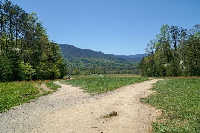 1 Day Jeep Rental Through the Smoky Mountains - What to Keep in Mind