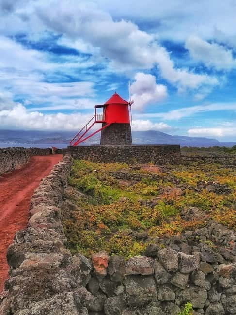 1-day jeep tour on the island of Pico - Azores - The Practicalities: What You Need to Know