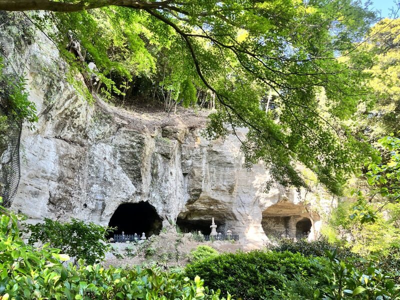 1-Day Kamakura and Enoshima Tour: Shrines, Seaside, Temples and Tea - The Great Buddha, with a chance to go inside