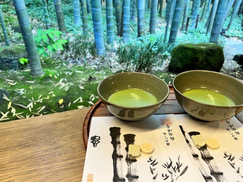 1-Day Kamakura and Enoshima Tour: Shrines, Seaside, Temples and Tea - Enoden to Enoshima and the coastal walk