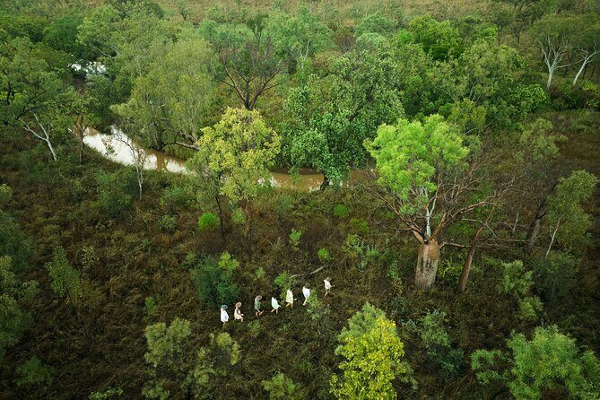 1-Day Kimberley Outback Day Safari ex. Broome - Authentic Experiences and Practical Considerations