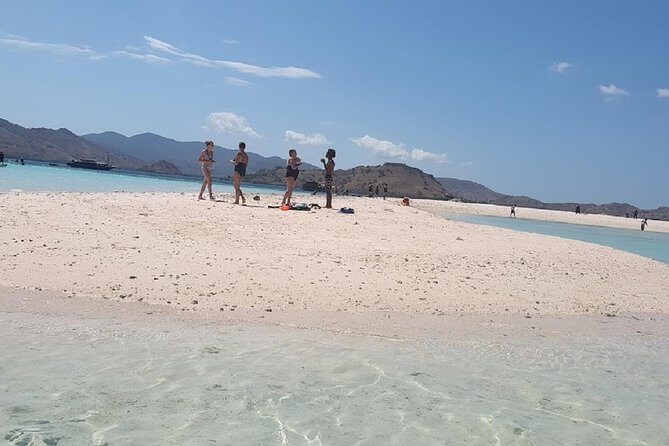 1- day Komodo island Tour hopping around by Speed Boat - Key Points