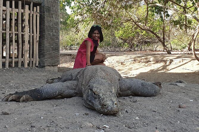 1- day Komodo island Tour hopping around by Speed Boat - Final Thoughts