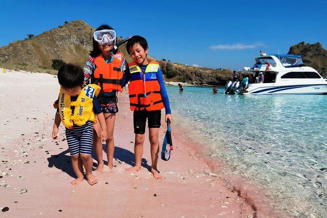 1 Day Komodo Trip By Shared Fast Boat - Who Is This Tour Best For?