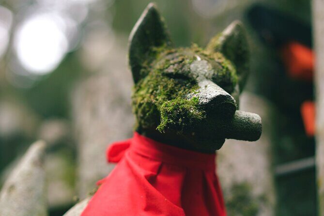 1-Day Kyoto and Nara Highlights Day Trip with a Private Car - Who Will Enjoy This Tour?