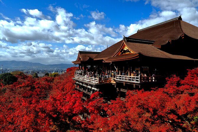 1 Day Kyoto UNESCO World Heritage Sites Bus Tour - Key Points
