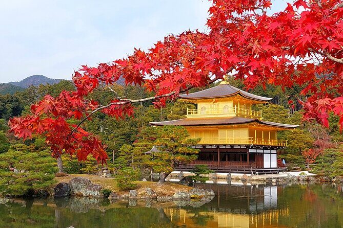 1 Day Kyoto UNESCO World Heritage Sites Bus Tour - Authentic Perspectives from Past Travelers