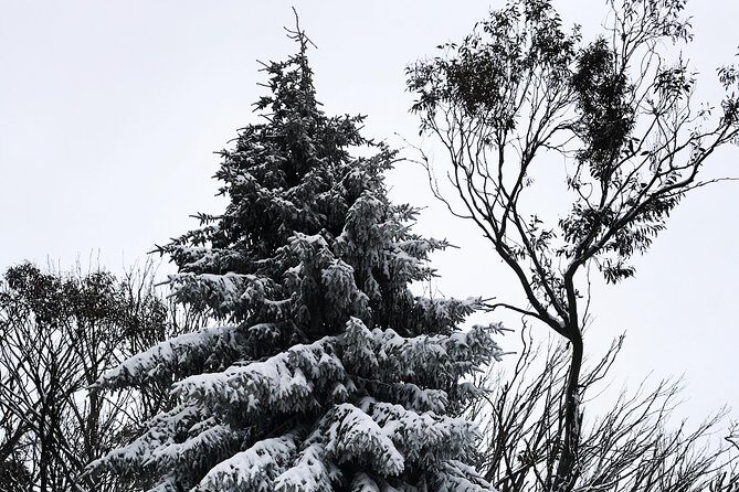 1 day Lake mountain snow tour - Key Points