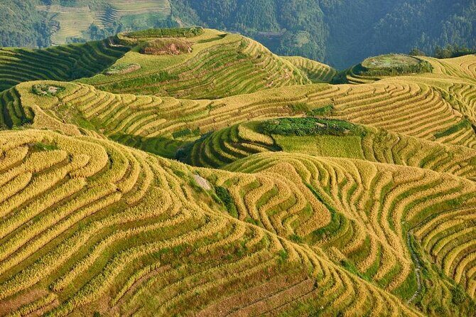 1-Day Longji Rice Terraces Tour from Guilin airport/train station - An Authentic Day Exploring Longji Rice Terraces from Guilin