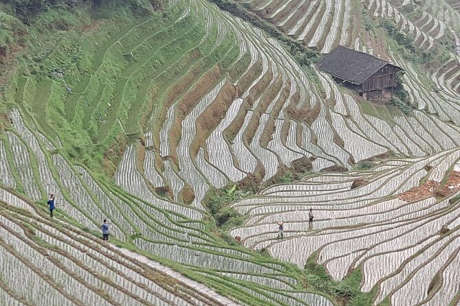 1-Day Longji Terrace Fields-Dazhai village Tour with the English Speaking Driver - Detailed Breakdown of the Tour Experience