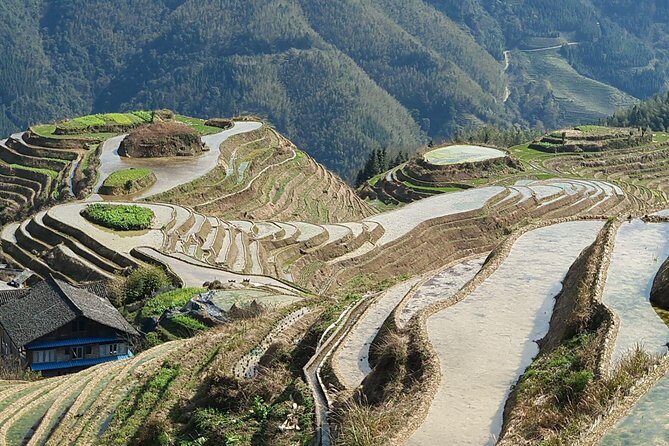 1-Day Longji Terrace Fields-Pingan village Tour with the English Speaking Driver - Final Thoughts