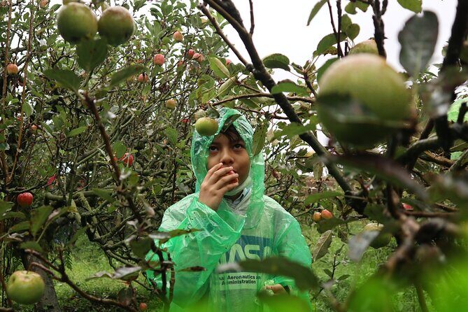 1 Day - Malang Instagramable Tour // 08:00 - 18:00 - Key Points