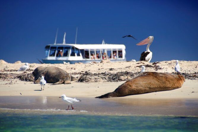 1 Day Margaret River Sightseeing Tour from Perth - Who Should Consider This Tour?