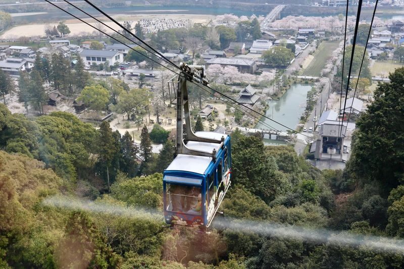 1-Day Miyajima & Iwakuni Tour: Exploring Iconic Japanese Landscapes - Who will appreciate this day most