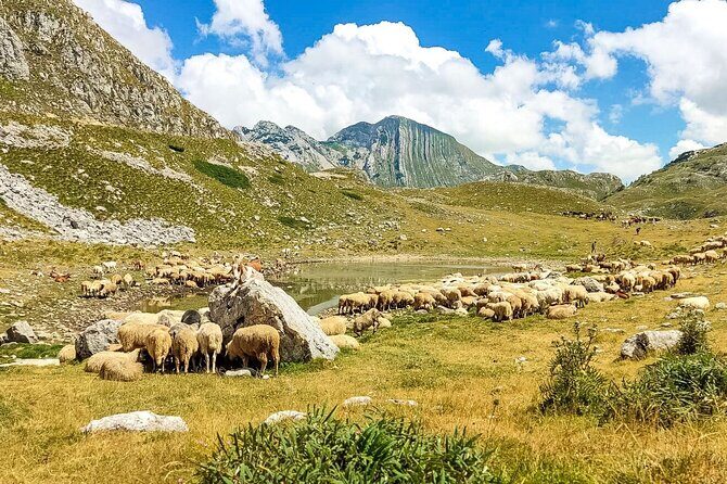 1-Day Montenegro Hiking Tour to Durmitor National Park - FAQ