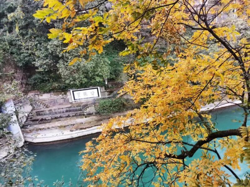 1-Day Mount Qingcheng and Dujiangyan Irrigation System Tour - FAQ