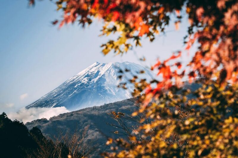 1-Day Mt Fuji and Hakone Sightseeing trip from Tokyo - The Itinerary: What You Can Expect
