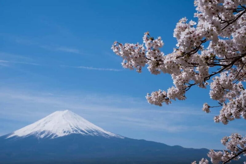 1-Day Mt Fuji and Hakone Sightseeing trip from Tokyo - Pricing and Value