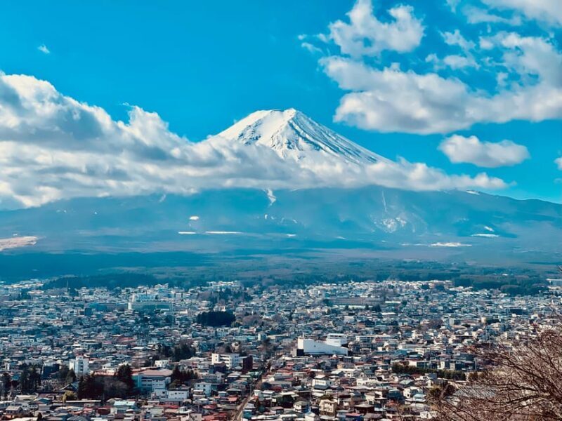 1-Day Mt Fuji and Hakone Sightseeing trip from Tokyo - Who Should Consider This Tour?