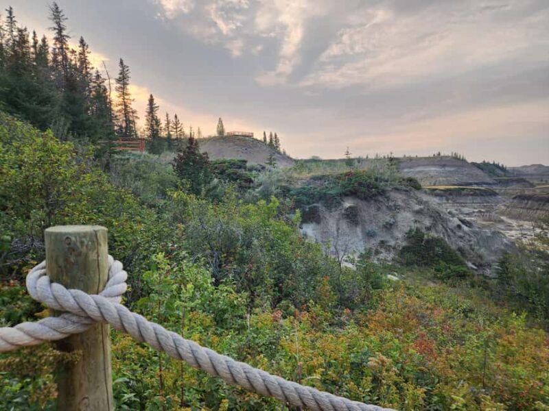 1 Day of Drumheller Dinosaurs and Badlands Guided Tour - Discover Alberta’s Dinosaur Heartland: The 1 Day of Drumheller Dinosaurs and Badlands Guided Tour