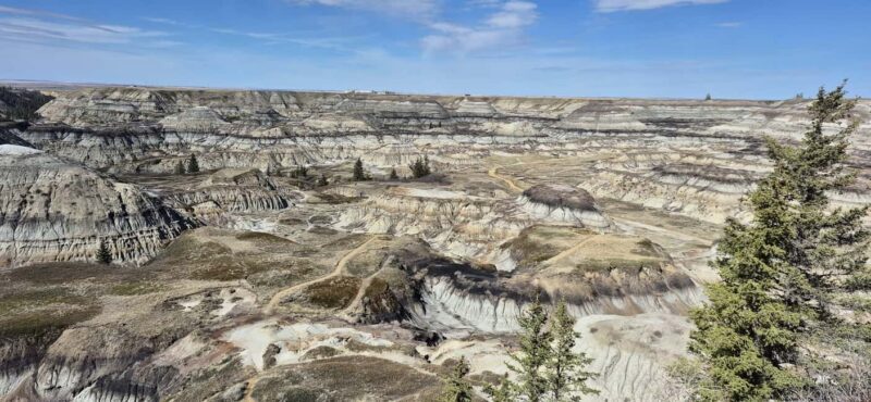 1 Day of Drumheller Dinosaurs and Badlands Guided Tour - What’s Included and What to Consider