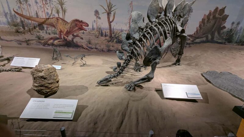 1 Day of Drumheller Dinosaurs and Badlands Guided Tour - Final Thoughts