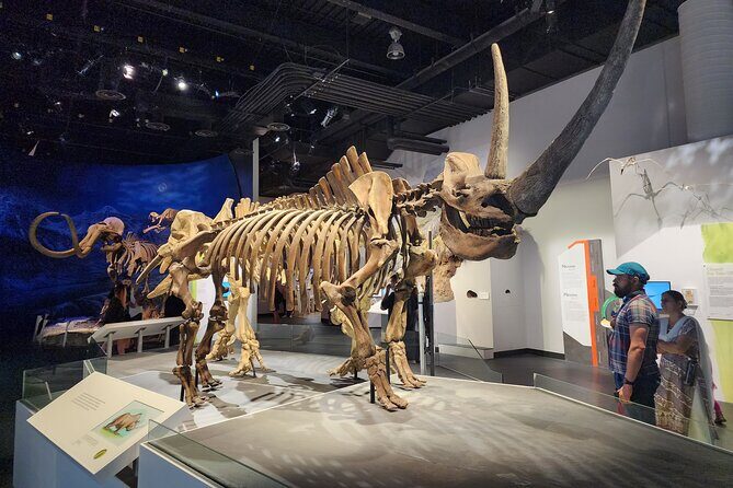 1 Day of Drumheller Dinosaurs and Badlands in Private Custom Tour - Key Points