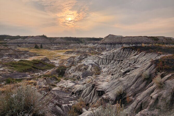 1 Day of Drumheller Dinosaurs and Badlands in Private Custom Tour - In-Depth Look: The 1 Day Drumheller and Badlands Tour
