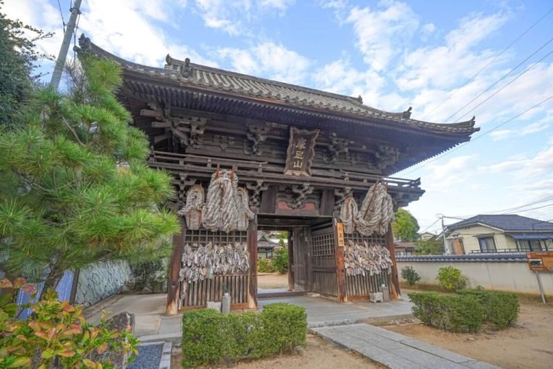 1-Day Onomichi & Ikuchijima: Hill of Hope, Ferry, Ropeway & Temples - What the guide adds to the day