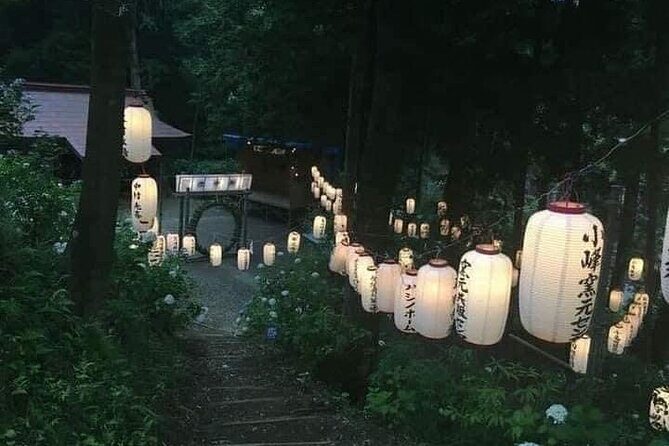 1 Day Osaka Private Tour with English Speaking Guide - Key Points