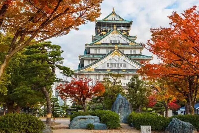 1 Day Osaka Private Tour with English Speaking Guide - The Practical Side: What to Expect