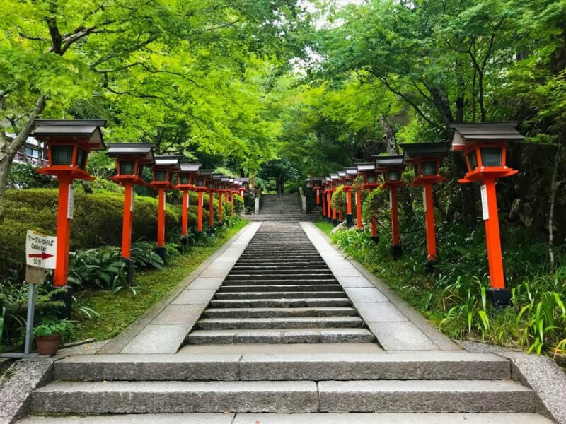 1-Day Osaka to Kyoto: Temples, Castles & Culture Tour - Who Will Love This Tour?