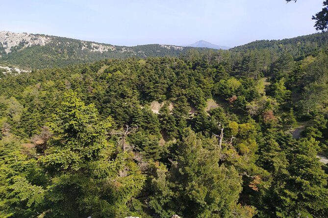 1 Day Parnitha Athens Private Hiking Tour with Hotel Pickup - Experience the Best of Greece’s Outdoors with the 1 Day Parnitha Athens Private Hiking Tour
