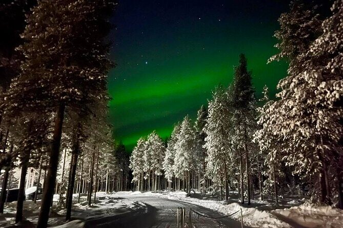 1 Day Pass Lapland Winter Park in Rovaniemi - Who Should Visit?