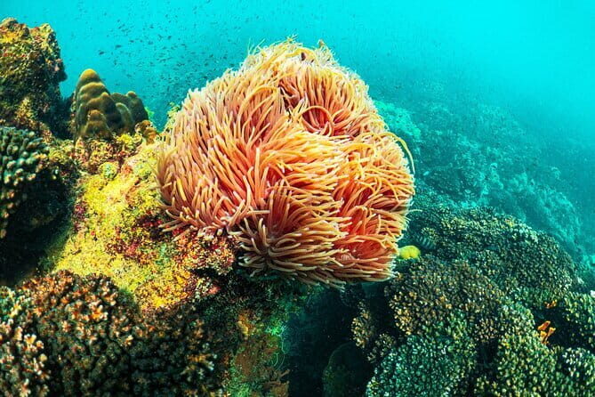 1 Day Phu Quoc Boat Trip with Three Islands - A Detailed Look at the Experience