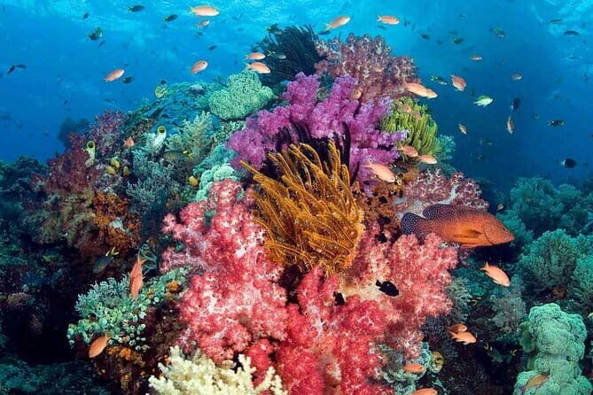 1 Day Phu Quoc Boat Trip with Three Islands - Authentic Experiences and Authenticity