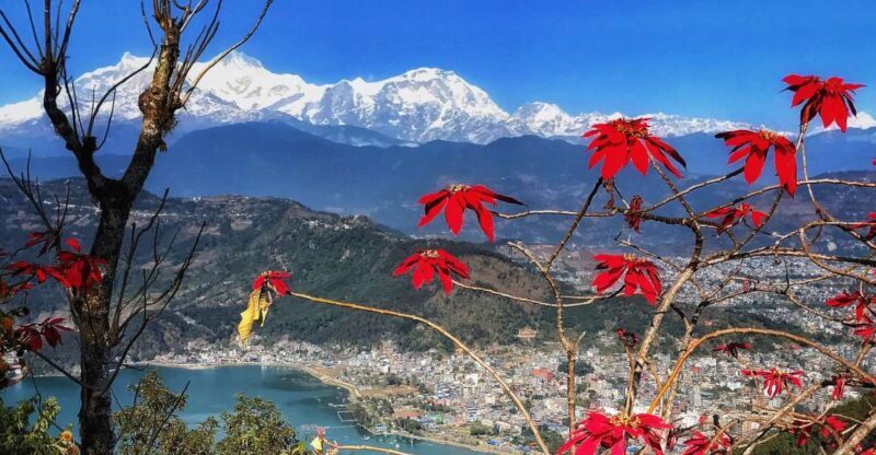1 Day Pokhara Tour from Kathmandu by flight - Who Will Enjoy This Tour?