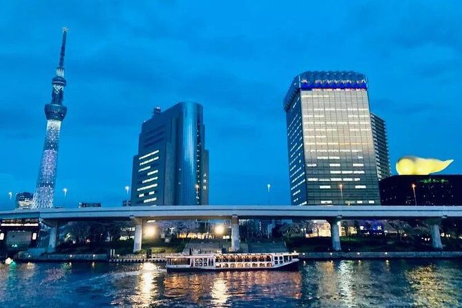 1 Day Private Charter Tokyo Sight Seeing green number plate - A Deep Dive into the Tour Experience