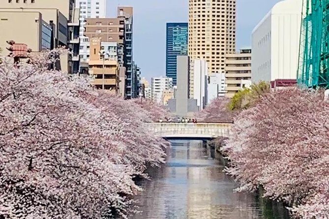 1 Day Private Charter Tokyo Sight Seeing green number plate - FAQ