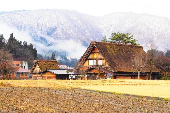 1 Day Private Charter Tour to Takayama & Shirakawago - A Deeper Look at the Tour Experience